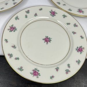 Rambler Rose
by ROYAL JACKSON‎